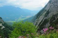 2014-07-24_OsterfelderKopf (296)b.JPG